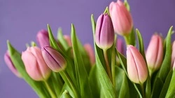 Красивые поздравления с 8 Марта — 2025 в стихах и прозе 