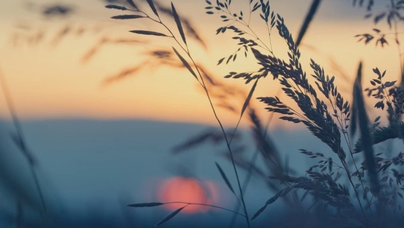 Народные приметы и поверья на 16 июня 2025 года: что нельзя делать в Лукьянов день 