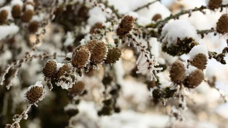 Народные приметы на 17 марта 2024 года: что нельзя делать 