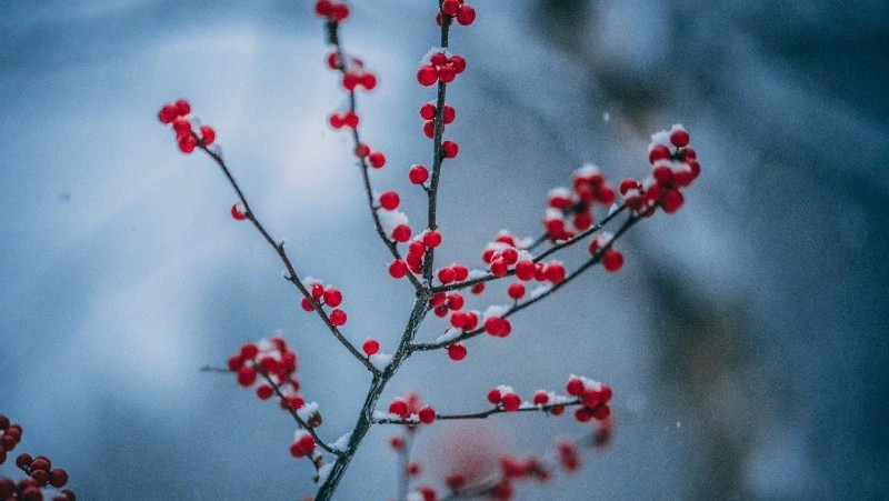 Народные приметы на 29 января 2025: что нельзя делать в Петров день, традиции