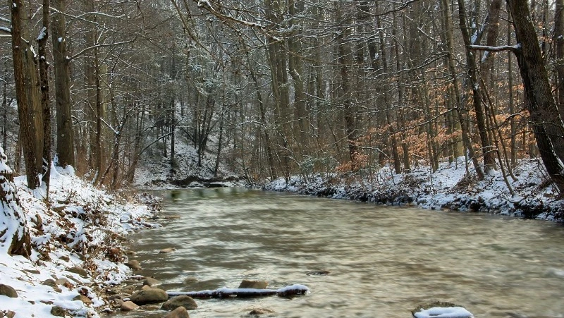 Дождь, снег и сильный ветер: прогноз погоды в Сахалинской области на неделю 