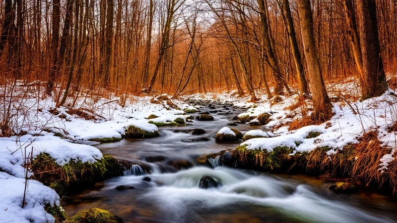 Народные приметы на 4 апреля 2025: что строго нельзя делать в день Василия Теплого 