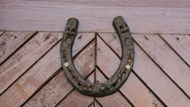 Народные приметы на 16 сентября 2024: что можно и нельзя делать в день Домны Доброродной