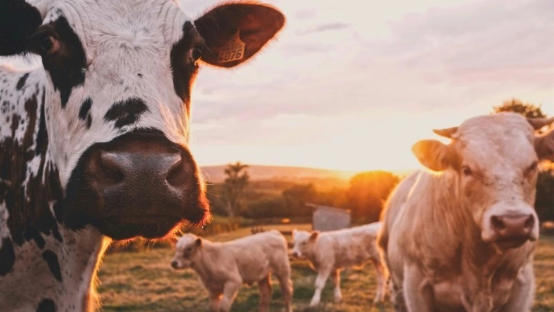 Народные приметы на 27 марта 2025 года — что можно и нельзя делать в Венедиктов день