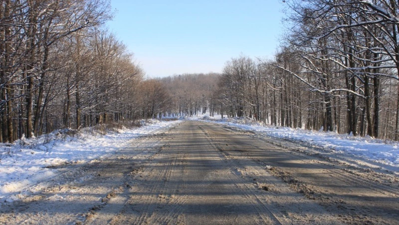 Народные приметы на 12 марта 2025 года: что нельзя делать в день Прокопа Перезимнего 