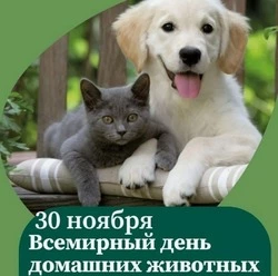 Всемирный день домашних животных 2024: забавные картинки и открытки к празднику    