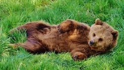 Народные приметы на 16 августа 2024 года: традиции и приметы в день Антона Вихровея