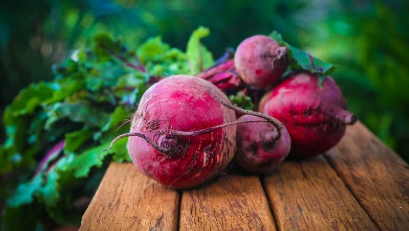 Народные приметы и поверья на 7 октября 2024 года — что нельзя делать в день Феклы Запрядальницы