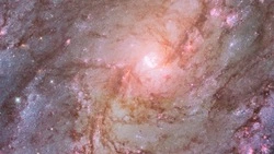 Гороскоп на май 2025 года для всех знаков зодиака: точный прогноз