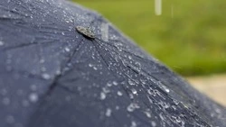 Циклон и похолодание нагрянут в Сахалинскую область на предстоящей неделе  