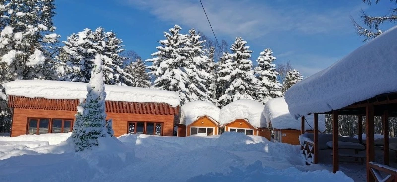 Череда метелей пронеслась над Долинским районом