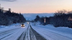 Небольшое потепление и снег: погода в Сахалинской области на неделю с 15 по 21 февраля 