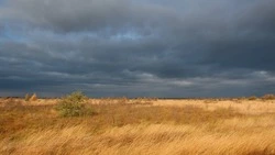 Дождь и до +7 градусов: прогноз погоды в Сахалинской области на 10 сентября