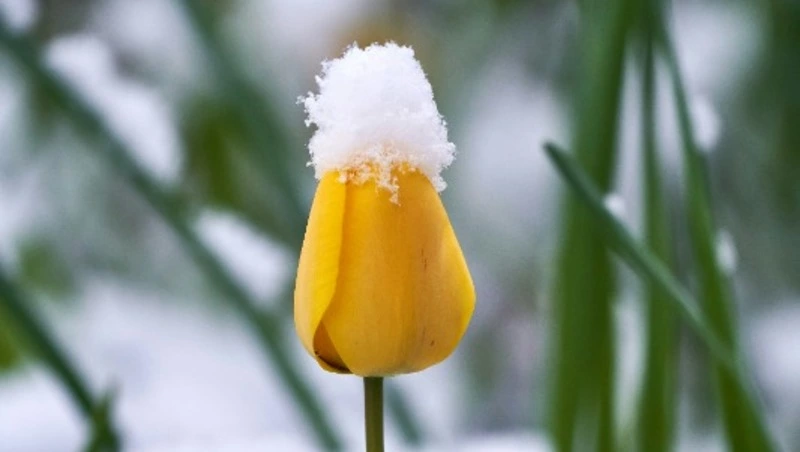 Народные приметы на 1 апреля 2024 года: что нельзя делать