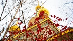 День памяти Матроны Московской 2025: когда отмечают, традиции, чудеса блаженной   