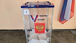 Макаров: итоги выборов губернатора на Сахалине подтвердили данные опросов