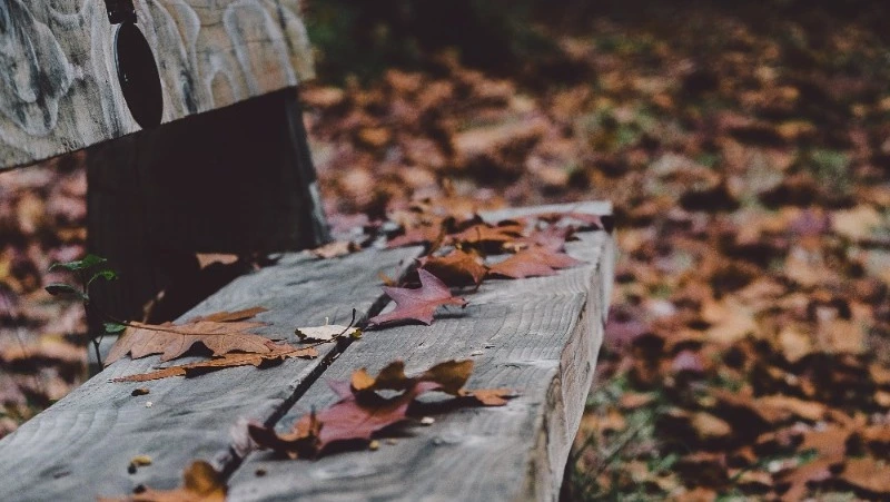 Народный календарь на сентябрь-2024: список праздников