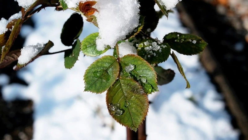 Церковный праздник 22 ноября 2024: что строго нельзя делать, приметы   