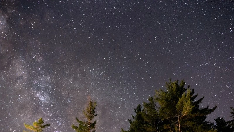 Гороскоп на 8 сентября 2024 года: импульсивность Овнов и продуктивность Львов