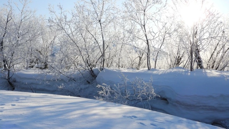 Прогноз погоды в Сахалинской области на 2 апреля: местами снег и 6 градусов тепла 
