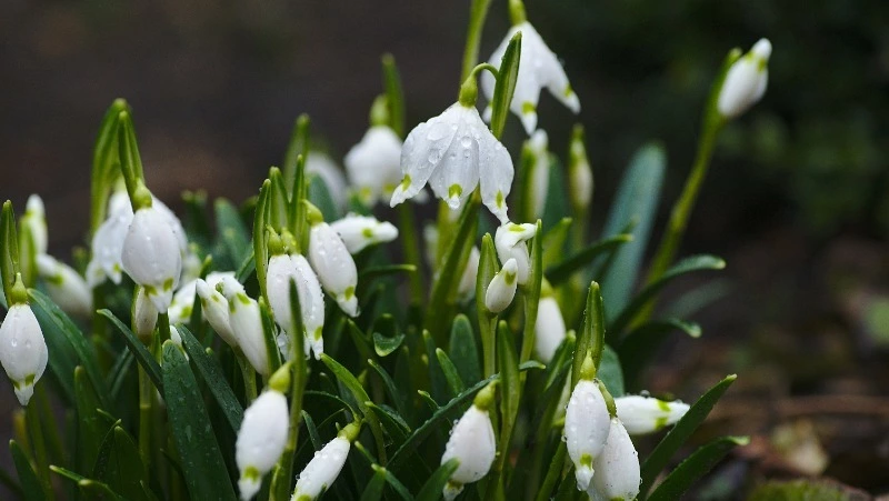 Народные приметы на 6 сентября 2024 года: традиции, что можно и нельзя делать в день Евтихия Тихого