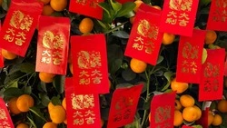 Что подарить на Китайский Новый год 2025: лучшие идеи, как привлечь удачу  