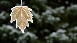 Заморозки ночью и слабый снег: прогноз погоды в Сахалинской области на 29 октября 