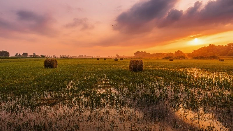 Народные приметы на 6 августа 2024 года: традиции, что можно и нельзя делать в этот день 