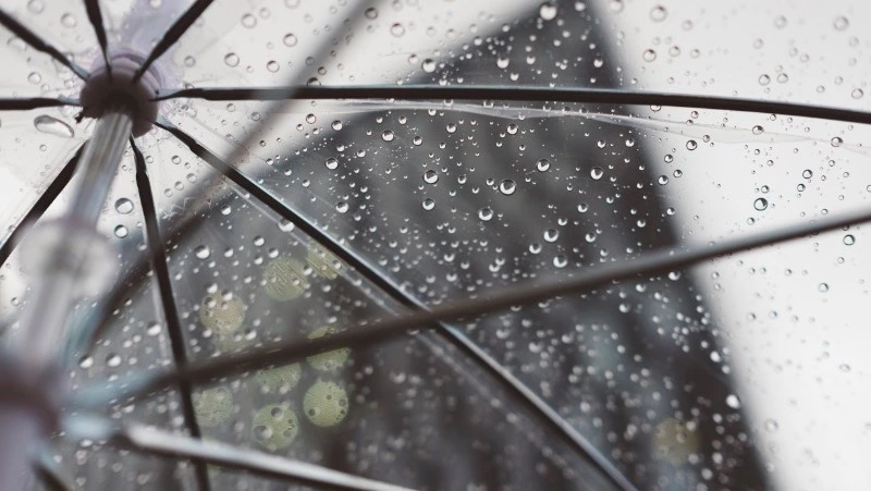 Дождь, мокрый снег и +5 градусов: погода в Сахалинской области на неделю         