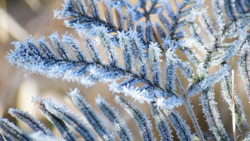 Народные приметы на 12 марта 2024 года: что нельзя делать 