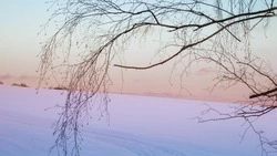 Слабый снег, днем до -15 градусов: прогноз погоды в Сахалинской области на 25 декабря 