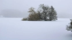 Мороз до 30 градусов, местами снег: прогноз погоды в Сахалинской области на 21 января 