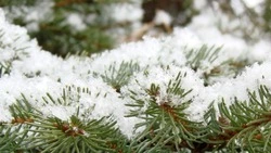 Сильные ветра, метели и похолодание: погода в Сахалинской области на неделю 