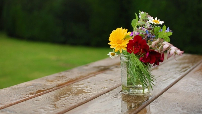 Пасмурная и дождливая пятница ждет жителей Сахалина и Курил 12 июля 