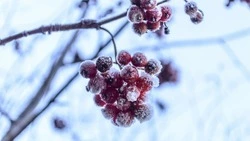 Слабый снег, но ощутимый мороз: погода на Сахалине и Курилах 10 декабря 