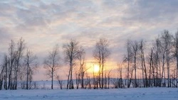 Какие народные праздники пройдут в марте 2025 года: календарь  