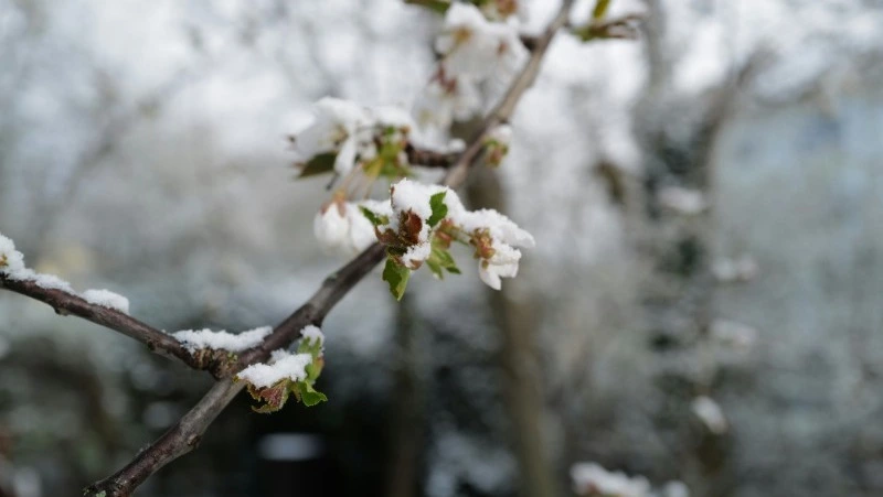 Народные приметы на 3 апреля 2024 года: что нельзя делать 