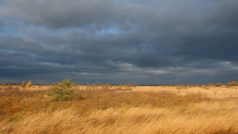 Дождь и до +7 градусов: прогноз погоды в Сахалинской области на 10 сентября