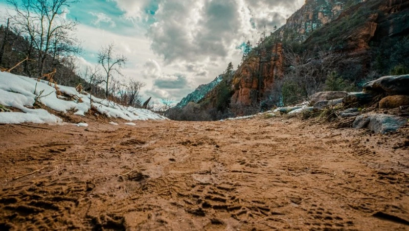 Народные приметы на 1 апреля 2025: традиции, поверья, что нельзя делать в день Дарьи Грязной