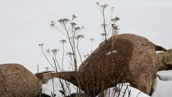Резкие скачки температуры и усиление ветра пообещали синоптики в Сахалинской области 12 февраля