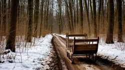 Народные приметы на 6 апреля 2025 года — что строго нельзя делать в Артемьев день 