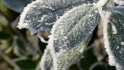 Народные приметы на 2 февраля 2025 года: что можно и нельзя делать в Ефимов день 