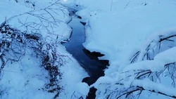 Народные приметы на 4 апреля 2024 года: что нельзя делать 