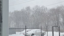 Активный циклон и теплый воздух: прогноз погоды в Сахалинской области на неделю 