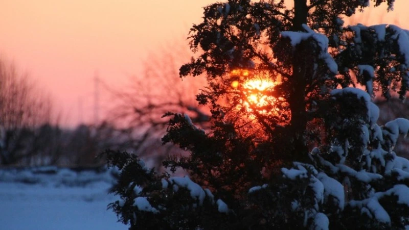 Синоптики рассказали о погоде в Сахалинской области на 5 марта