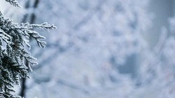 Циклон и суровые морозы: погода в Сахалинской области на предстоящую неделю 