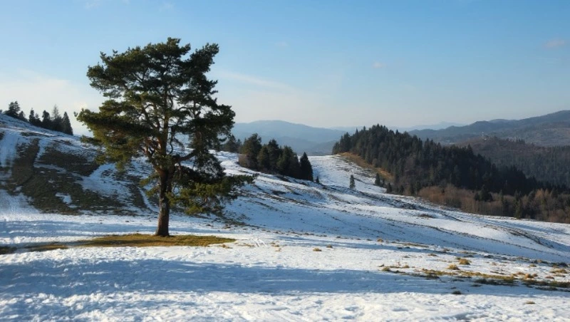 Гадание по картинке: что подготовил для вас апрель 2024 года 