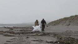 Более 30 тысяч волонтеров работают в Сахалинской области