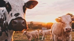 Народные приметы на 27 марта 2025 года — что можно и нельзя делать в Венедиктов день 