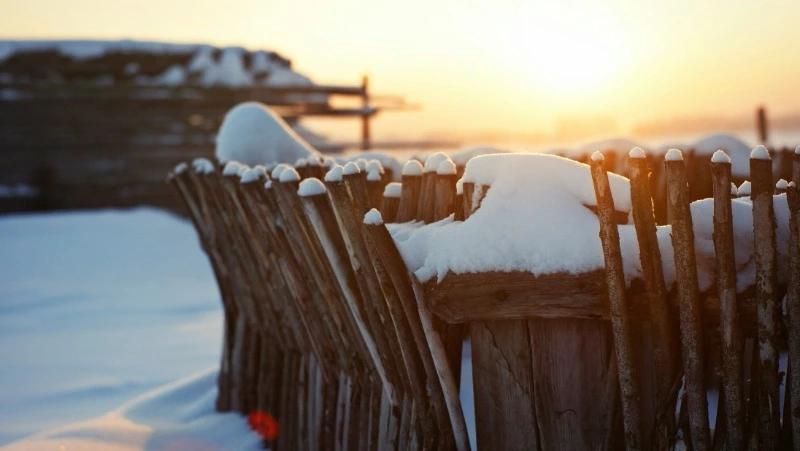 Народные приметы на 24 января 2025: традиции, что нельзя делать в Федосеев день        